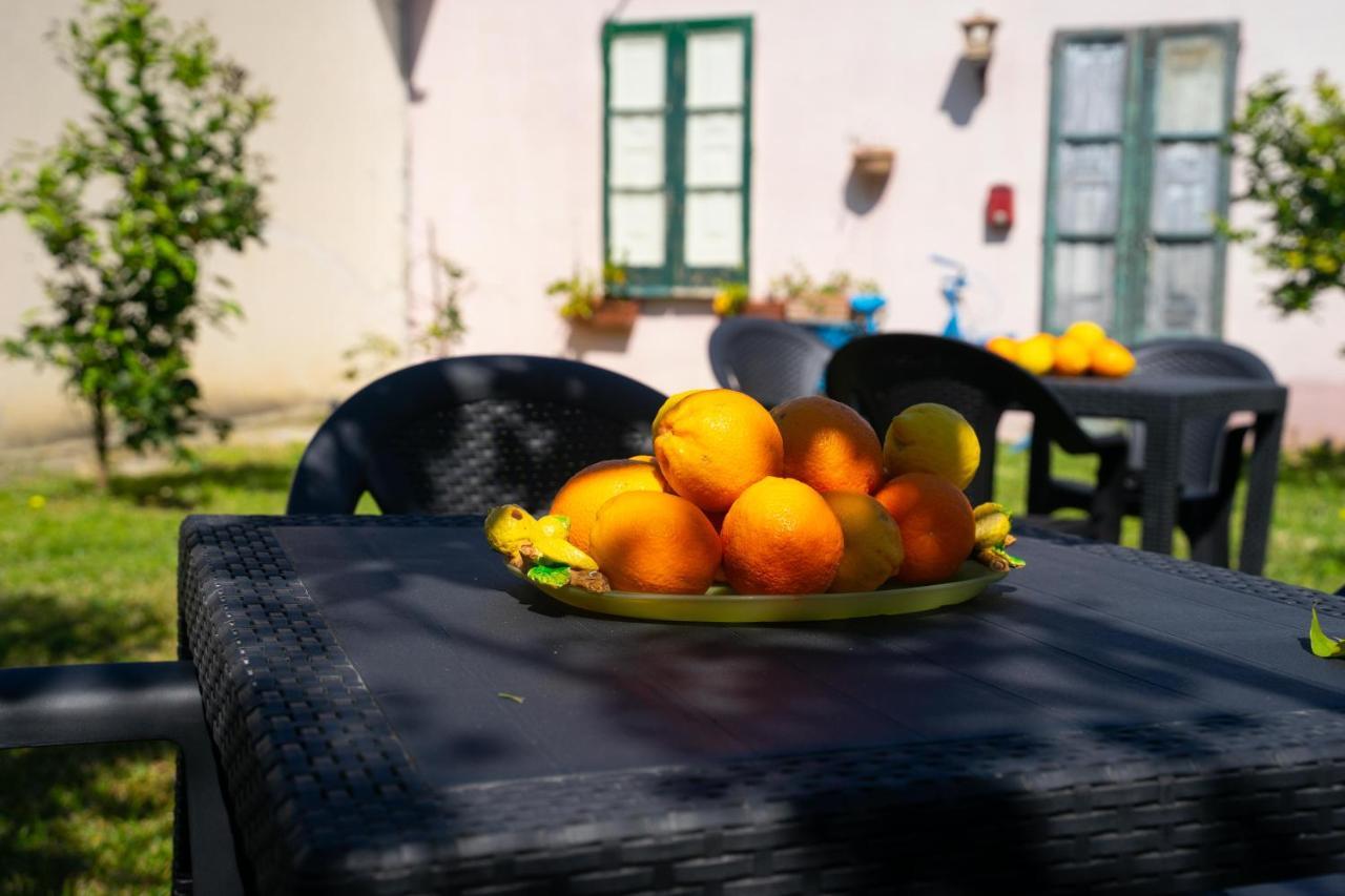 Il Madrigale - Agriturismo B&B Agnone Cilento المظهر الخارجي الصورة